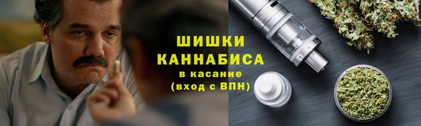apvp Мегион