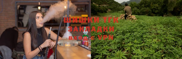 apvp Мегион