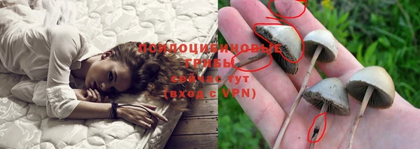 крисы Медногорск